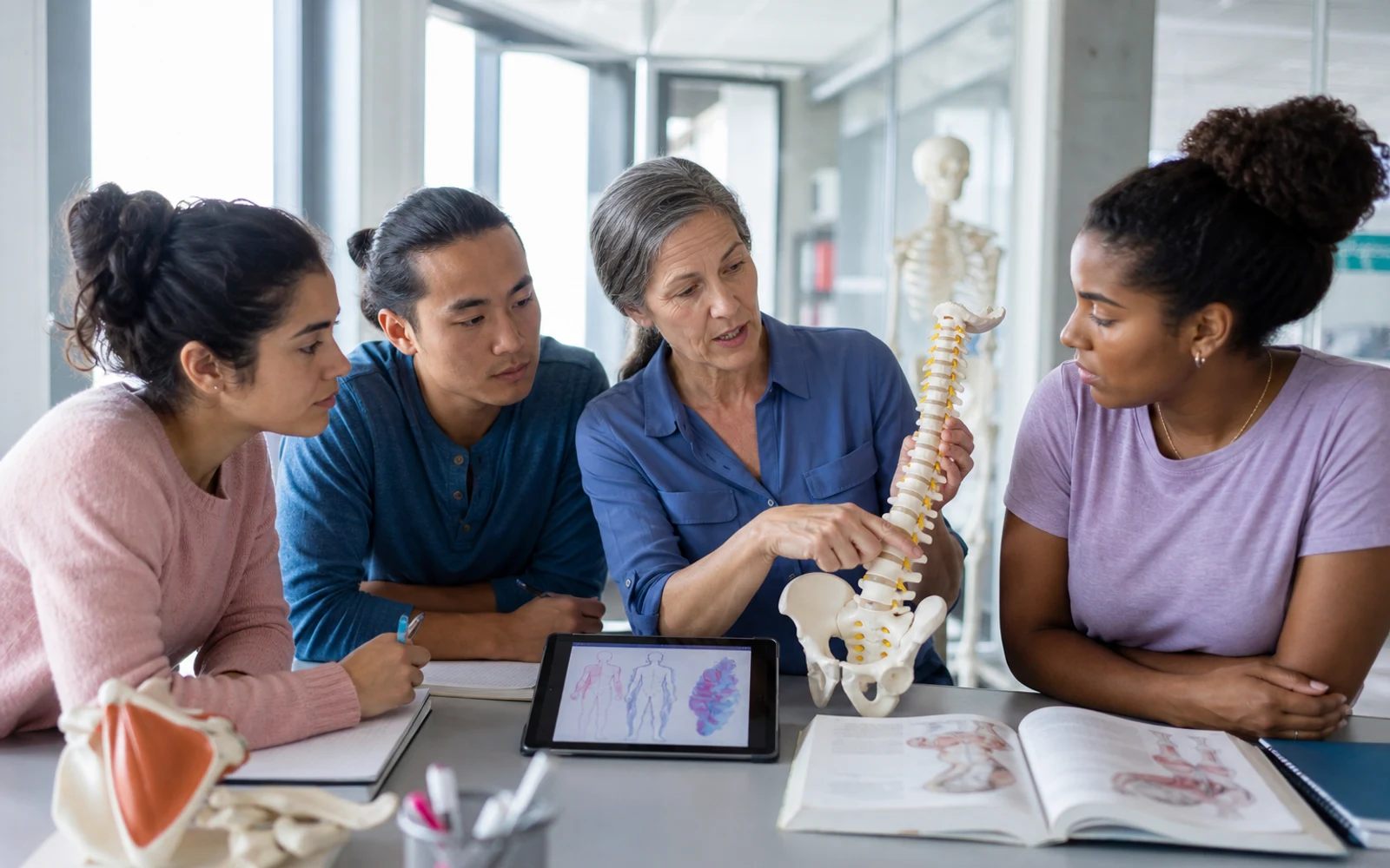A health-professions educator teaching learners with anatomy materials.